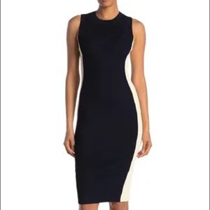 Rachel Roy Rib Knit Dress